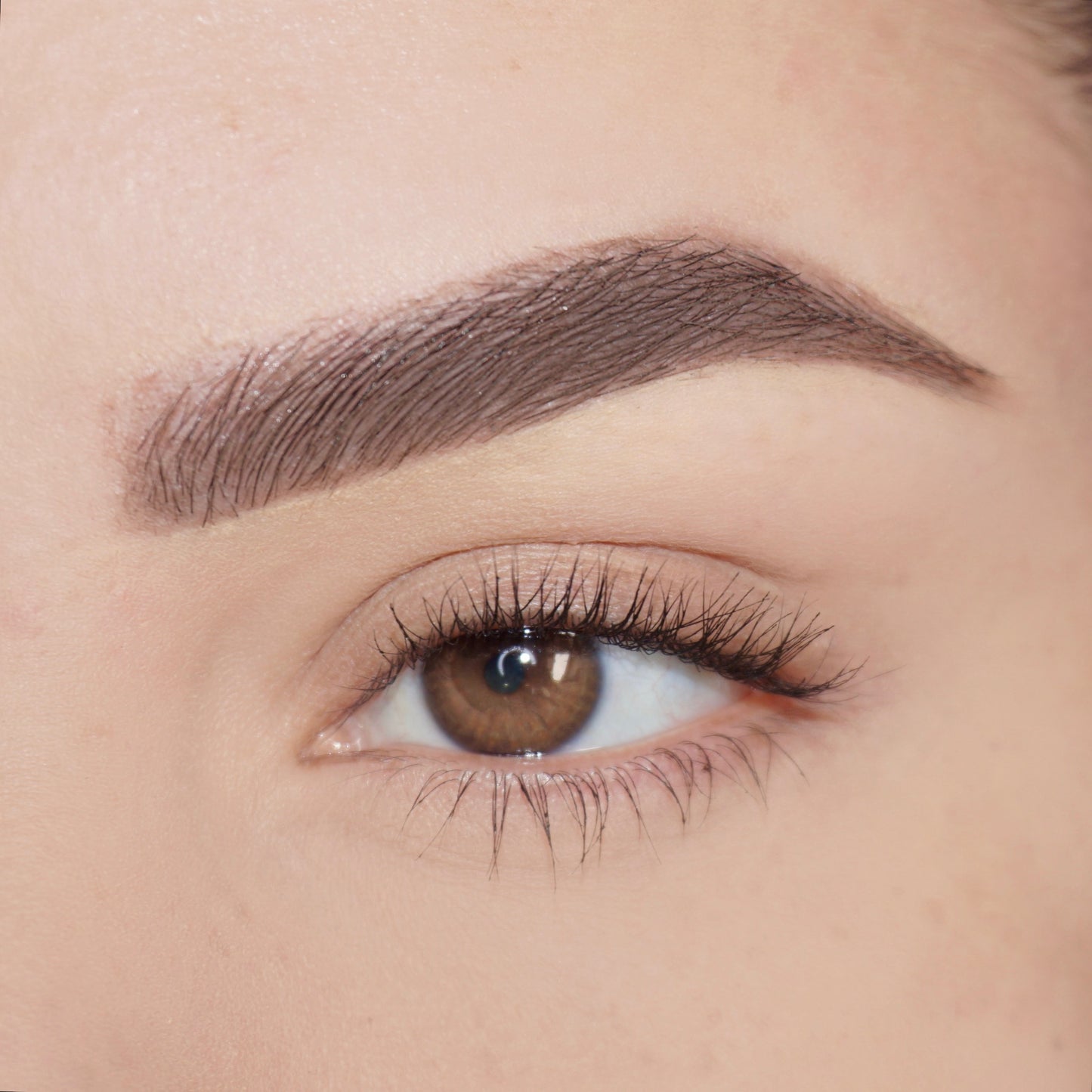 Taupe Brow Pencil